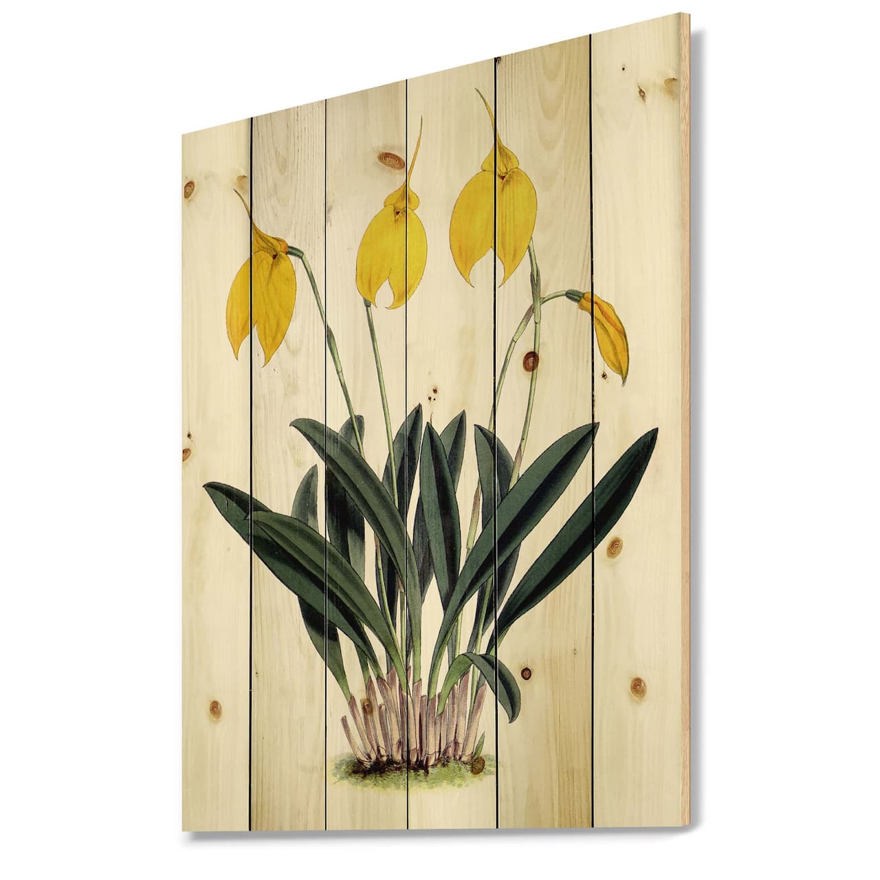 Designart - Retro Orchid Flowers - Farmhouse Print on Natural Pine Wood